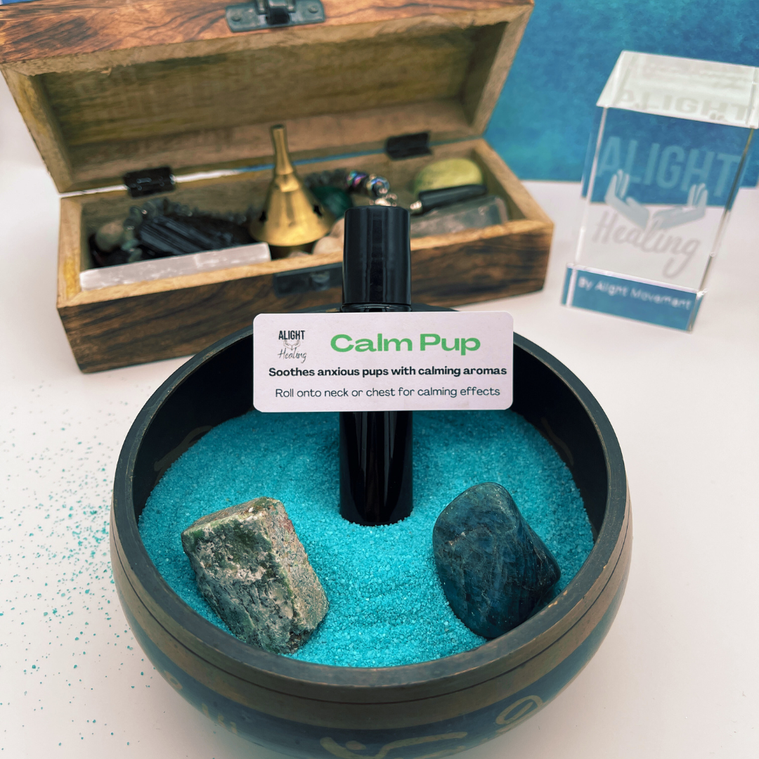 Alight Healing Paws: Reiki Infused Oil Blends For Pet Wellness