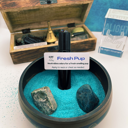 Alight Healing Paws: Reiki Infused Oil Blends For Pet Wellness